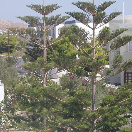 Manos Apartments Mégas Yialós-Nítes 외부 사진